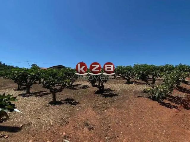 Sítio / Chácara para Venda em Morungaba/SP Centro 4 Quartos