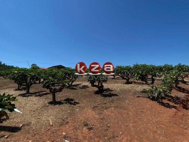 Sítio / Chácara para Venda em Morungaba/SP Centro 4 Quartos