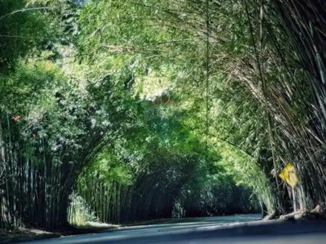 Sítio / Chácara para Venda em Morungaba/SP Centro 5 Quartos