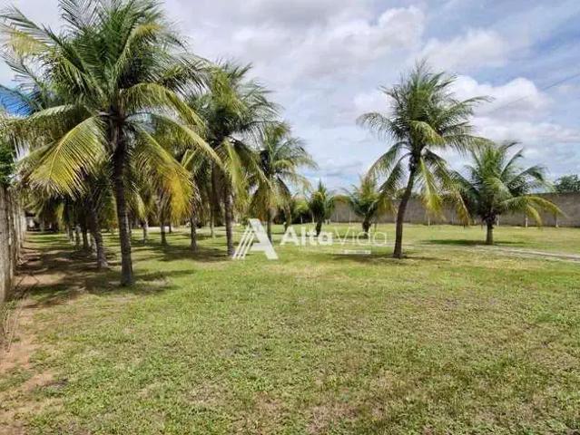 Sítio / Chácara para Venda em Mossoró/RN Rincão 2 Quartos