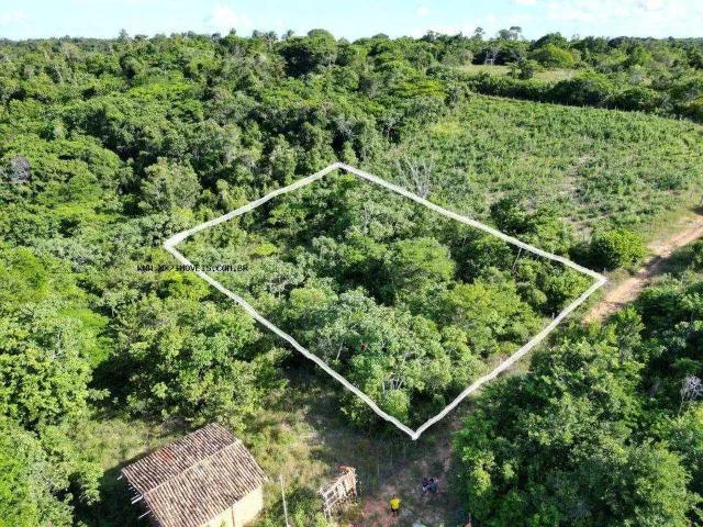 Sítio / Chácara para Venda em Mata de São João/BA Imbassai