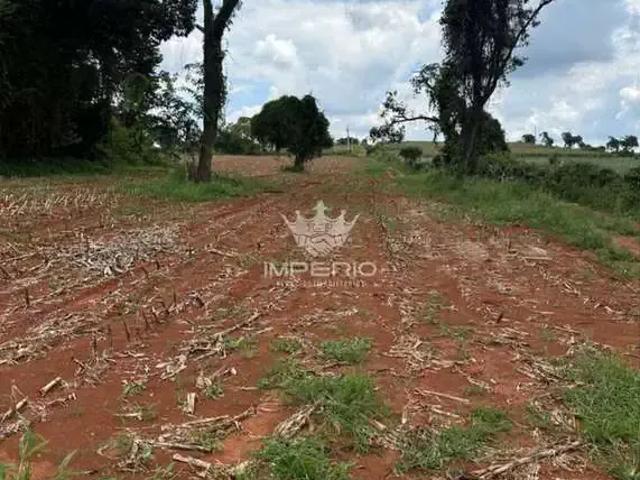 Sítio / Chácara para Venda em Mateus Leme/MG Zona Rural