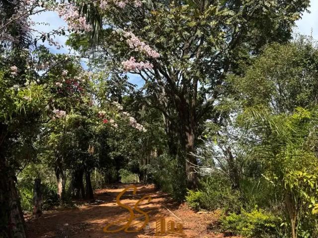 Sítio / Chácara para Venda em Mateus Leme/MG Alto Boa Vista 5 Quartos