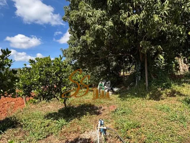 Sítio / Chácara para Venda em Mateus Leme/MG Alto Boa Vista 3 Quartos