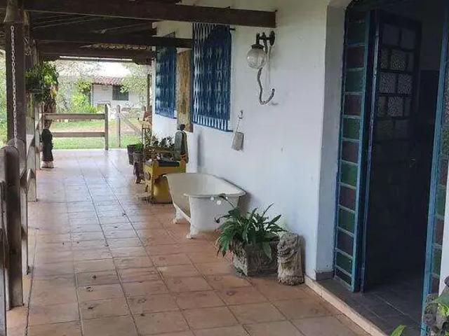 Sítio / Chácara para Venda em Matozinhos/MG Centro 4 Quartos