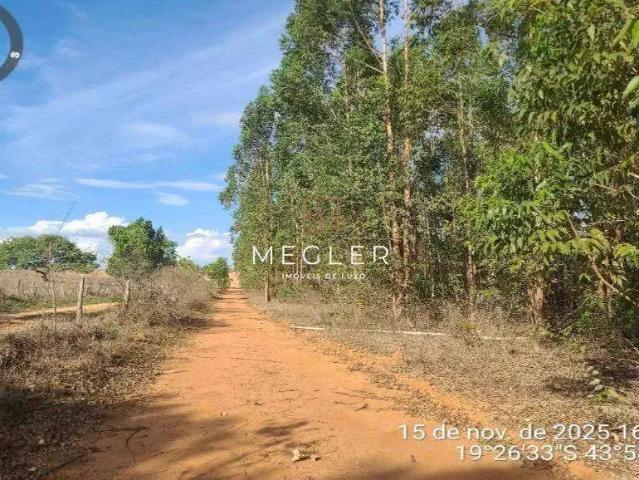 Sítio / Chácara para Venda em Matozinhos/MG Fazenda Jaguara