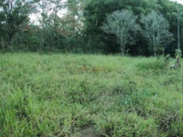 Sítio / Chácara para Venda em Mauá da Serra/PR Serra do Cadeado 3 Quartos