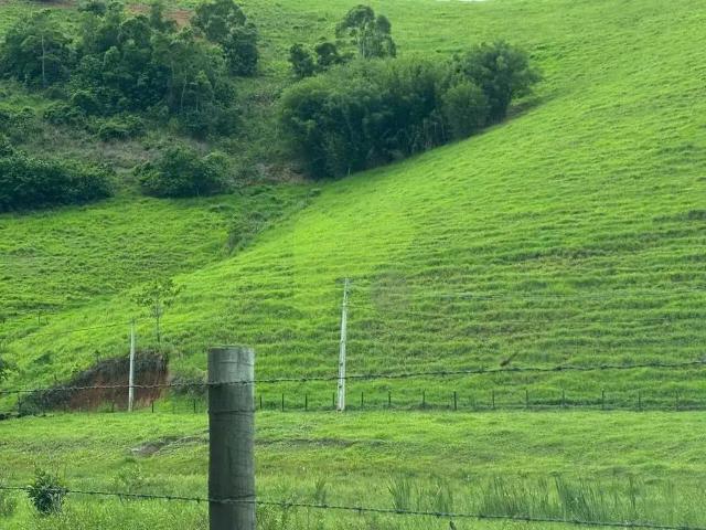 Sítio / Chácara para Venda em Macaé/RJ Área Rural de Macaé 2 Quartos