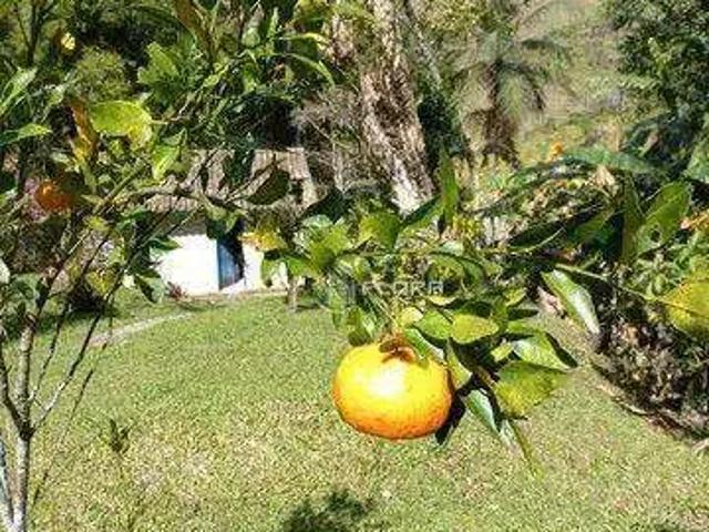 Sítio / Chácara para Venda em Macaé/RJ Serra da Cruz 3 Quartos