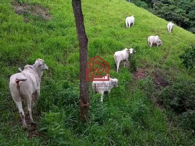 Sítio / Chácara para Venda em Macaé/RJ Serra da Cruz 5 Quartos
