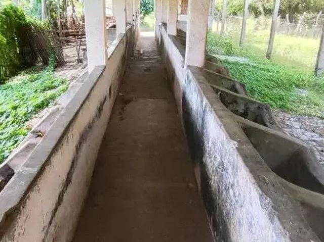 Sítio / Chácara para Venda em Macaíba/RN Centro 4 Quartos