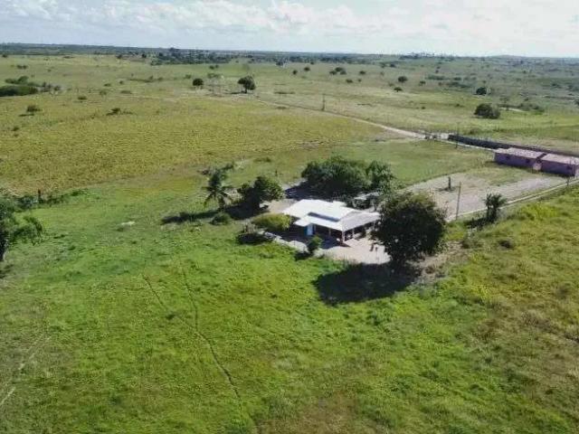 Sítio / Chácara para Venda em Macaíba/RN Centro 4 Quartos