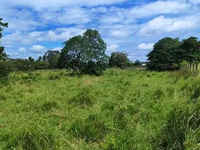 Sítio / Chácara para Venda em Macaíba/RN Centro 4 Quartos
