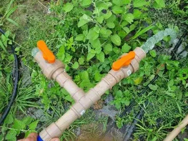 Sítio / Chácara para Venda em Macaíba/RN Centro 4 Quartos
