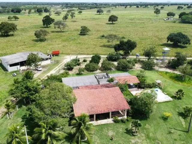 Sítio / Chácara para Venda em Macaíba/RN Centro 8 Quartos