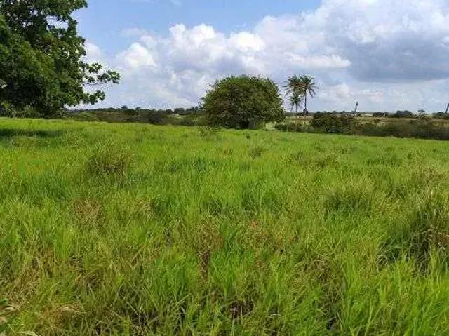Sítio / Chácara para Venda em Macaíba/RN Centro 2 Quartos