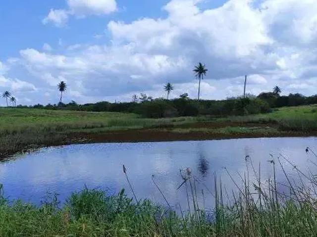 Sítio / Chácara para Venda em Macaíba/RN Centro 2 Quartos