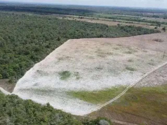 Sítio / Chácara para Venda em Macaíba/RN Centro 3 Quartos