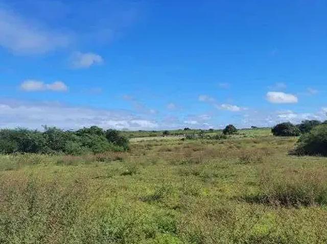 Sítio / Chácara para Venda em Macaíba/RN Centro 3 Quartos