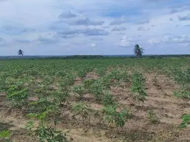 Sítio / Chácara para Venda em Macaíba/RN Centro 3 Quartos