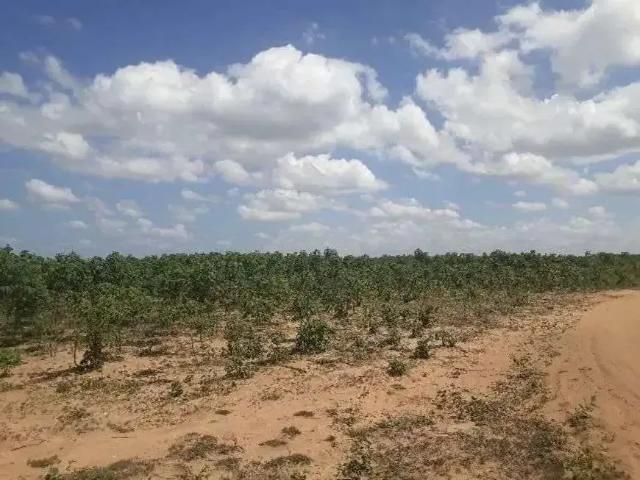 Sítio / Chácara para Venda em Macaíba/RN Centro 3 Quartos