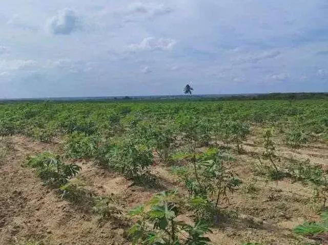 Sítio / Chácara para Venda em Macaíba/RN Centro 3 Quartos