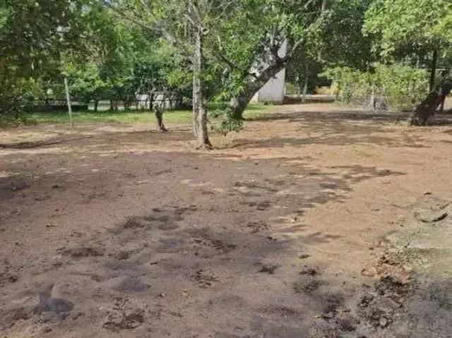 Sítio / Chácara para Venda em Macaíba/RN Centro 3 Quartos