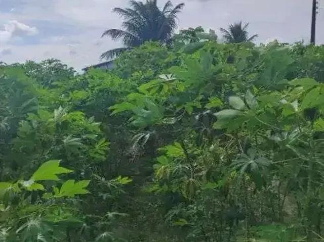 Sítio / Chácara para Venda em Macaíba/RN Centro 3 Quartos