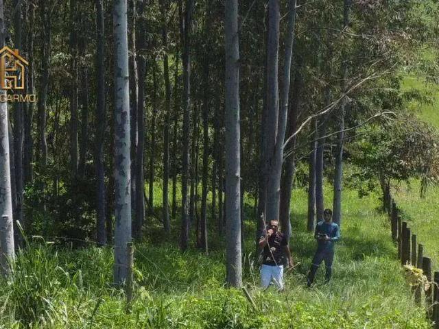 Sítio / Chácara para Venda em Macaubal/SP Zona Rural