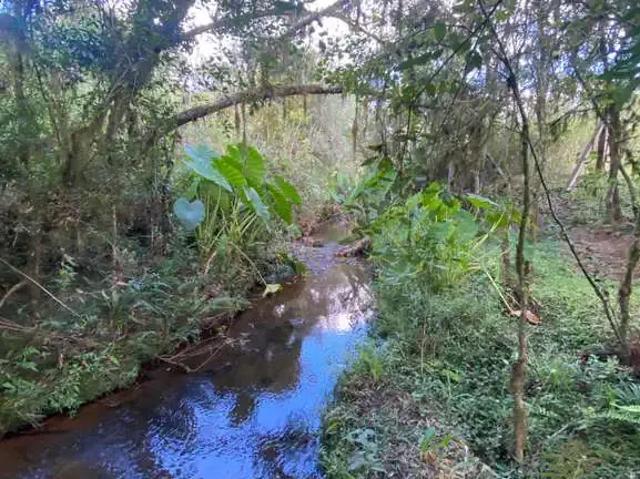 Sítio / Chácara para Venda em Mafra/SC Área Rural de Mafra