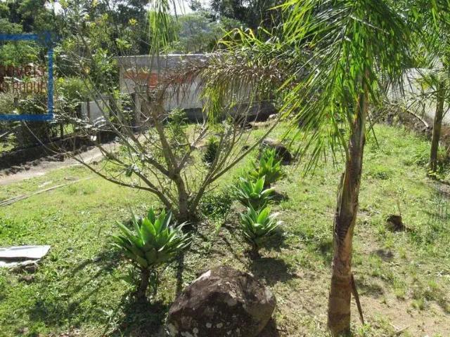 Sítio / Chácara para Venda em Mairinque/SP Reneville 2 Quartos