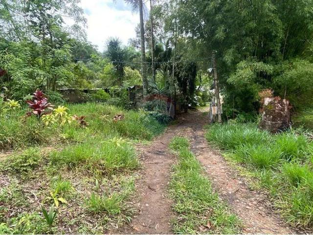 Sítio / Chácara para Venda em Mairiporã/SP Capoavinha 3 Quartos