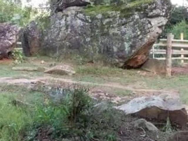 Sítio / Chácara para Venda em Mairiporã/SP Centro 1 Quartos