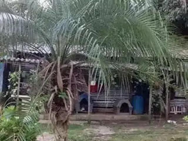 Sítio / Chácara para Venda em Mairiporã/SP Centro 2 Quartos
