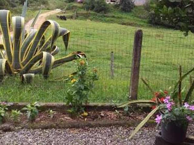 Sítio / Chácara para Venda em Major Gercino/SC Pinheiral 3 Quartos