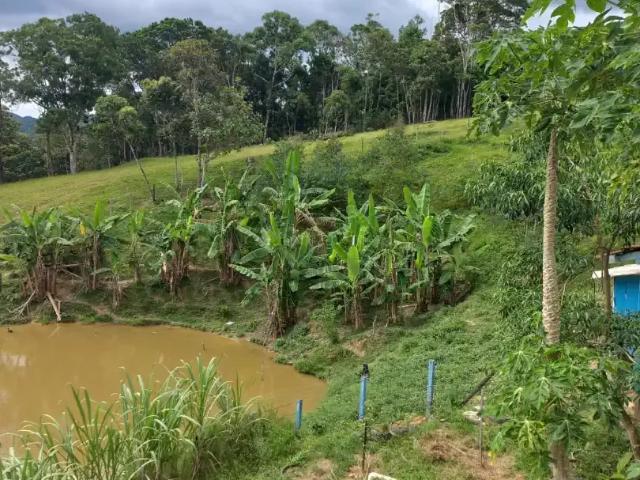 Sítio / Chácara para Venda em Major Gercino/SC Zona Rural 3 Quartos