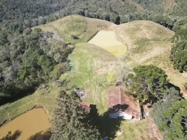 Sítio / Chácara para Venda em Major Gercino/SC Zona Rural