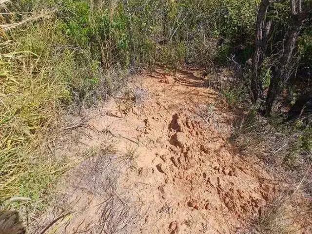 Sítio / Chácara para Venda em Mambaí/GO Zona Rural