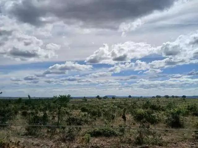 Sítio / Chácara para Venda em Mambaí/GO Zona Rural