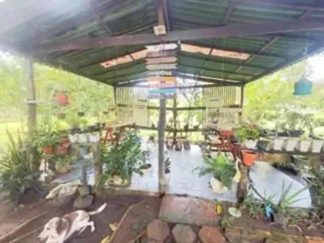 Sítio / Chácara para Venda em Manaus/AM Área Rural de Manaus 4 Quartos