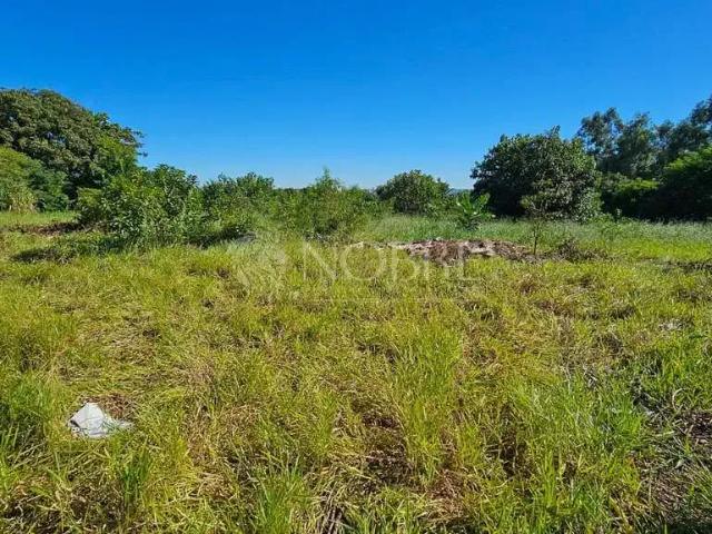 Sítio / Chácara para Venda em Mandaguaçu/PR Centro