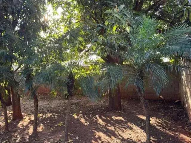 Sítio / Chácara para Venda em Mandaguaçu/PR Centro 2 Quartos