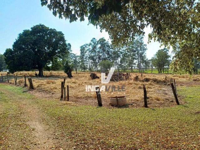 Sítio / Chácara para Venda em Mandaguaçu/PR Residencial Lagoa Dourada