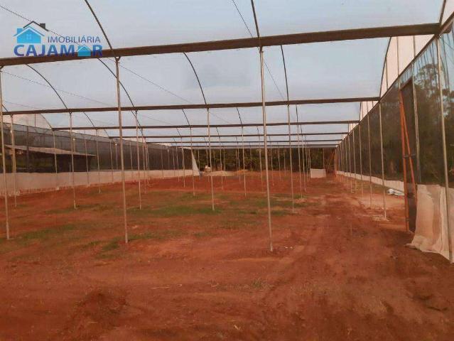 Sítio / Chácara para Venda em Mandaguaçu/PR Vila Guadiana 2 Quartos