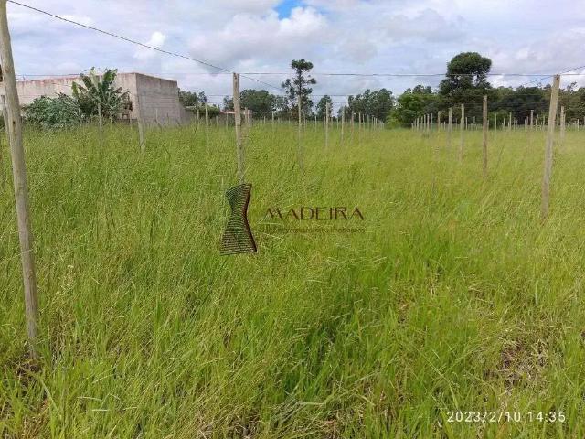 Sítio / Chácara para Venda em Mandaguaçu/PR Zona Rural