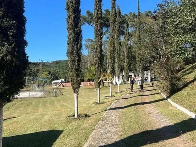 Sítio / Chácara para Venda em Mandirituba/PR Vila Mandirituba 420 Quartos