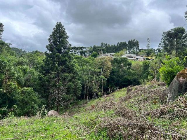 Sítio / Chácara para Venda em Mandirituba/PR Zona Rural