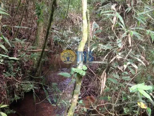 Sítio / Chácara para Venda em Mandirituba/PR Zona Rural 2 Quartos