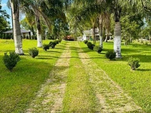 Sítio / Chácara para Venda em Mandirituba/PR Zona Rural 2 Quartos