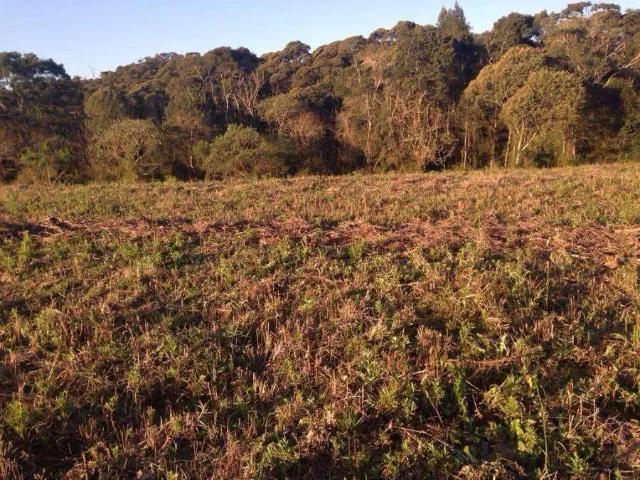 Sítio / Chácara para Venda em Mandirituba/PR Zona Rural